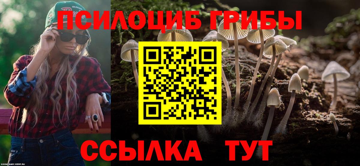 Галлюциногенные грибы Psilocybine cubensis  дарнет шоп  Кировск  Вход с VPN 